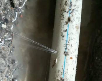 大埔卫生间测漏水多少钱